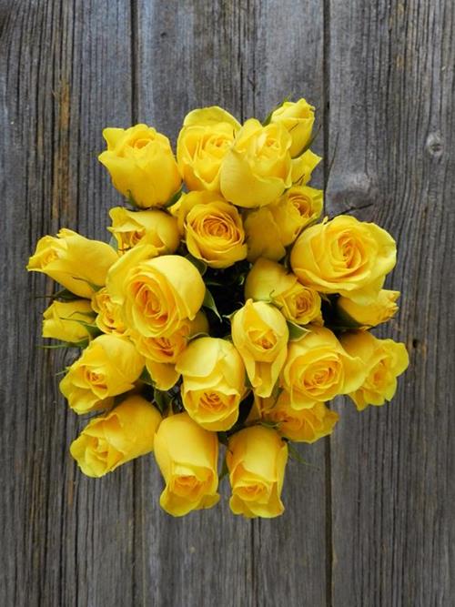  YELLOW SPRAY ROSES